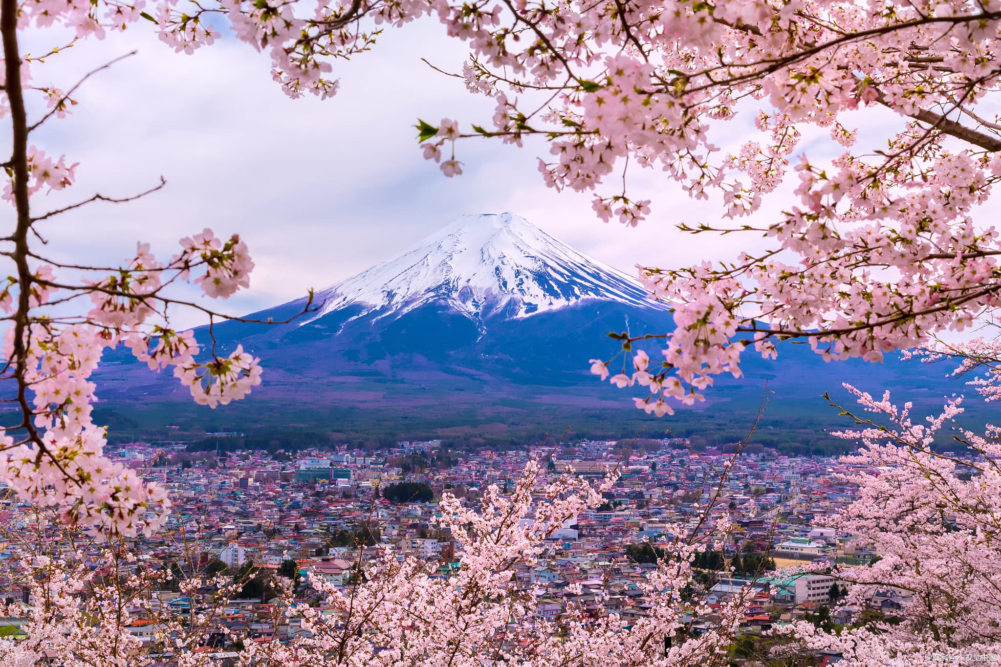 Mount Fuji, Japan
